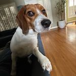 Oliver - @oliver_mosley2020 - Instagram