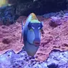 Oliver Munz - @oliver.munz - TikTok