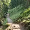olivermunz955 - @olivermunz955 - TikTok
