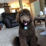 @oliver_nash_ - Instagram