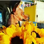 nina - @oliv.ernina - Instagram