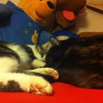 Oliver&nina - @somos_oliver_y_nina - Instagram