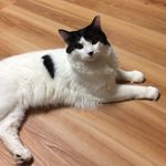 Oliver.oneal - @oliver.oneal - Instagram