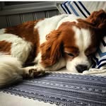 Brady Oliver Otto Puth - @officialbradyputh - Instagram