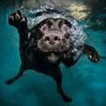 Oliver Otto Seybold - @oliverottoseybold - Instagram