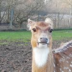 Oliver Romney-Parsons - @oliver_romney_parsons - Instagram