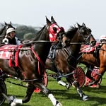 WelshTrotting-Uk - @oliver_philip_jones - Instagram