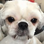 Oliver Pittman - @oliver_pittman_99 - Instagram