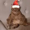 Oliver Ramirez - @oliver.ramirez090 - TikTok