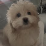 Oliver William Randall - @olliewallierandall - Instagram