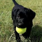 Oliver (ollie) Randolph - @ollie.randy - Instagram
