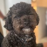 Oliver Hill - @oliverray_hill - Instagram