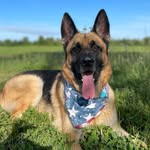 Oliver Riggs - @oliverriggs_thegsd_ - Instagram