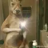 Oliver Rivera - @oliver.rivera486 - TikTok