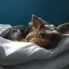 Oliver.Rivera - @oliver.rivera - TikTok