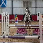 Oliver Rodgers - @ollie_rodge_showjumper - Instagram