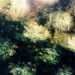 Oliver Rodgers - @oliver_rodgers_ - Instagram