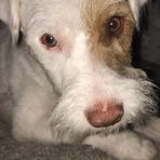 Oliver Rodgers - Facebook