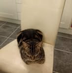 Oliver Rose - Facebook