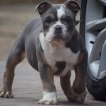 Oliver Sharpe - @sh4rp33 - Instagram