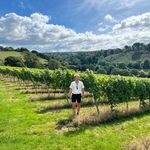 Oliver Shaw - @ollyshaw_winemaker - Instagram