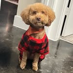 Oliver Christian Simmons - @olivercsimmons - Instagram
