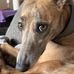Oliver Singleton - Facebook