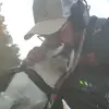 oliver_sommer01 - @oliver_sommer01 - TikTok