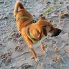oliversommer2269 - @oliversommer2269 - TikTok