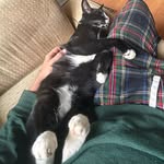 Oliver Sorg - @oliversorg - Instagram