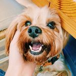 Oliver Stanley - @_oliver_stanley_ - Instagram