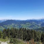Oliver Steiner - @_steiner09 - Instagram