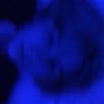 Oliver Stiles - @olivezrgross - Instagram