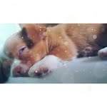 Oliver Stiles Allen - @oliverallen011 - Instagram