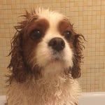 Oliver Summers - @ollie.sumdog - Instagram