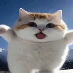 Oliver Sutherland - @oliversutherland481 - Instagram