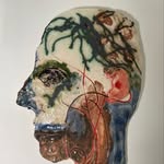 Oliver Sutherland - @lvrsthrlnd - Instagram