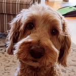 oliver Sutherland - @oliversutherland13 - Instagram