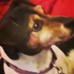 oliver sutherland - @jollirodger123 - Instagram