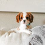Oliver - @oliverparnellsweetboy - Instagram