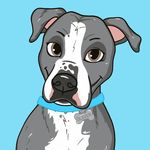 OLIVER - @oliverthesweetboy - Instagram