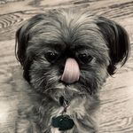 Oliver Watson - @sweetbabyoliver - Instagram