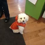Oliver Taft - @olivertaft - Instagram