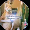 Oliver Tello - @oliver.tello2 - TikTok