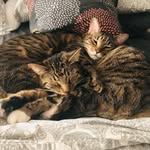Oliver and Thurman - @oliverandthurman - Instagram