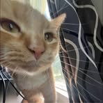 Oliver Thurman - Facebook