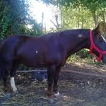 Franko Oliver Toro Rosas - @tororosasfrankooliver - Instagram