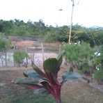 Oliver Toro - Facebook