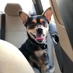 Oliver (Ollie) Travers-Lee - @oliverstravels_17 - Instagram