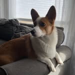 Oliver aka Ollie - @sir_oliver_trippton - Instagram